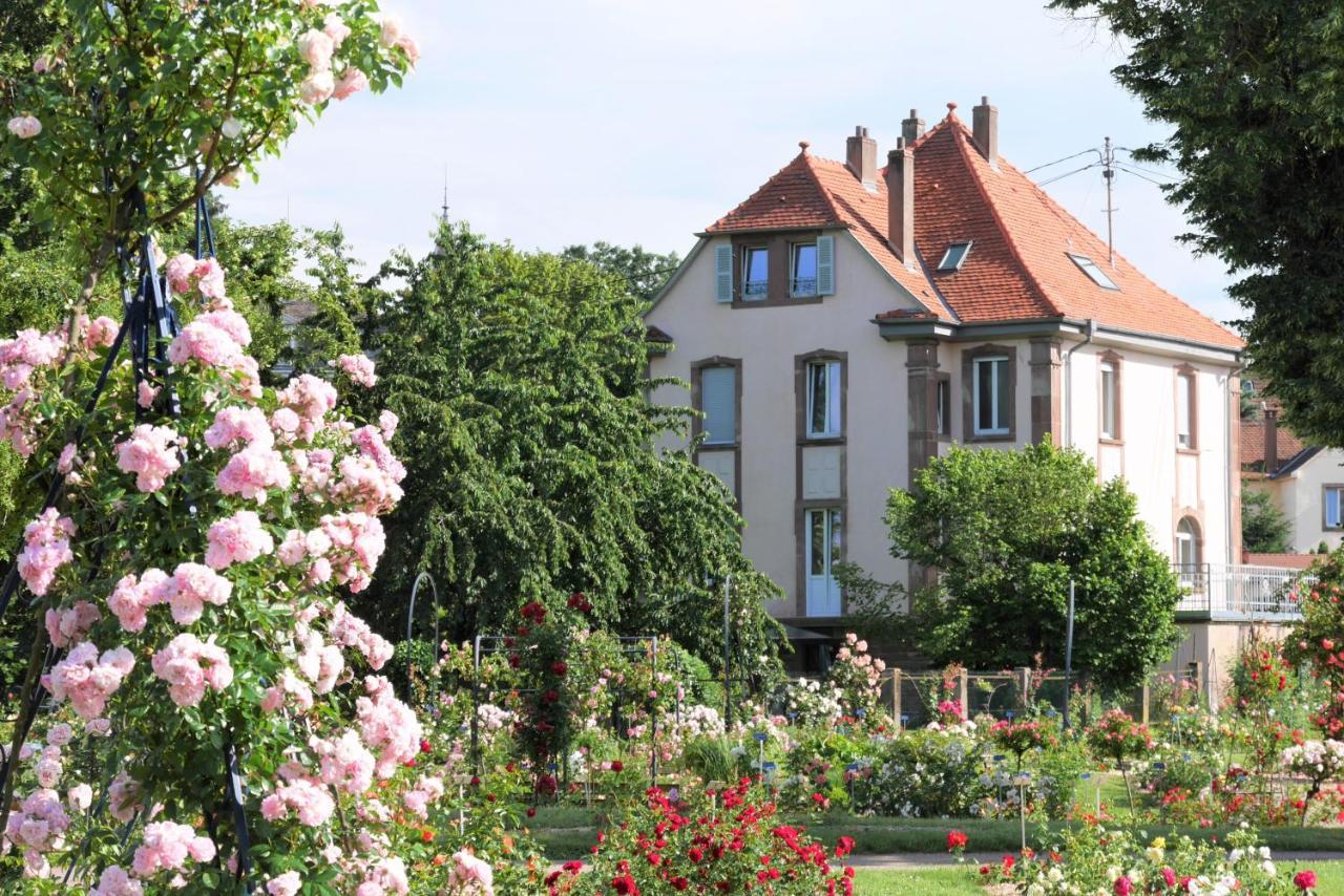 Appartement Le Jardin des Roses à Saverne Extérieur photo