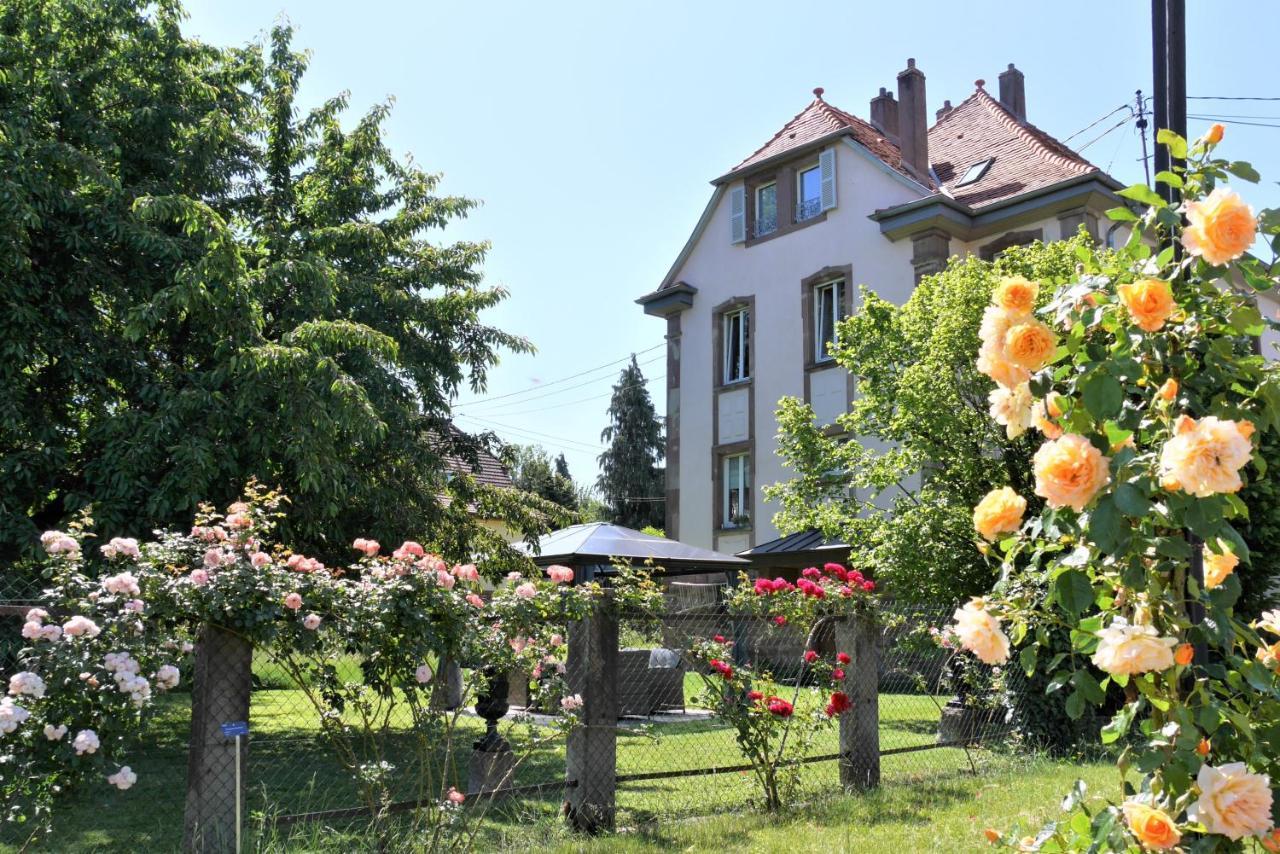 Appartement Le Jardin des Roses à Saverne Extérieur photo