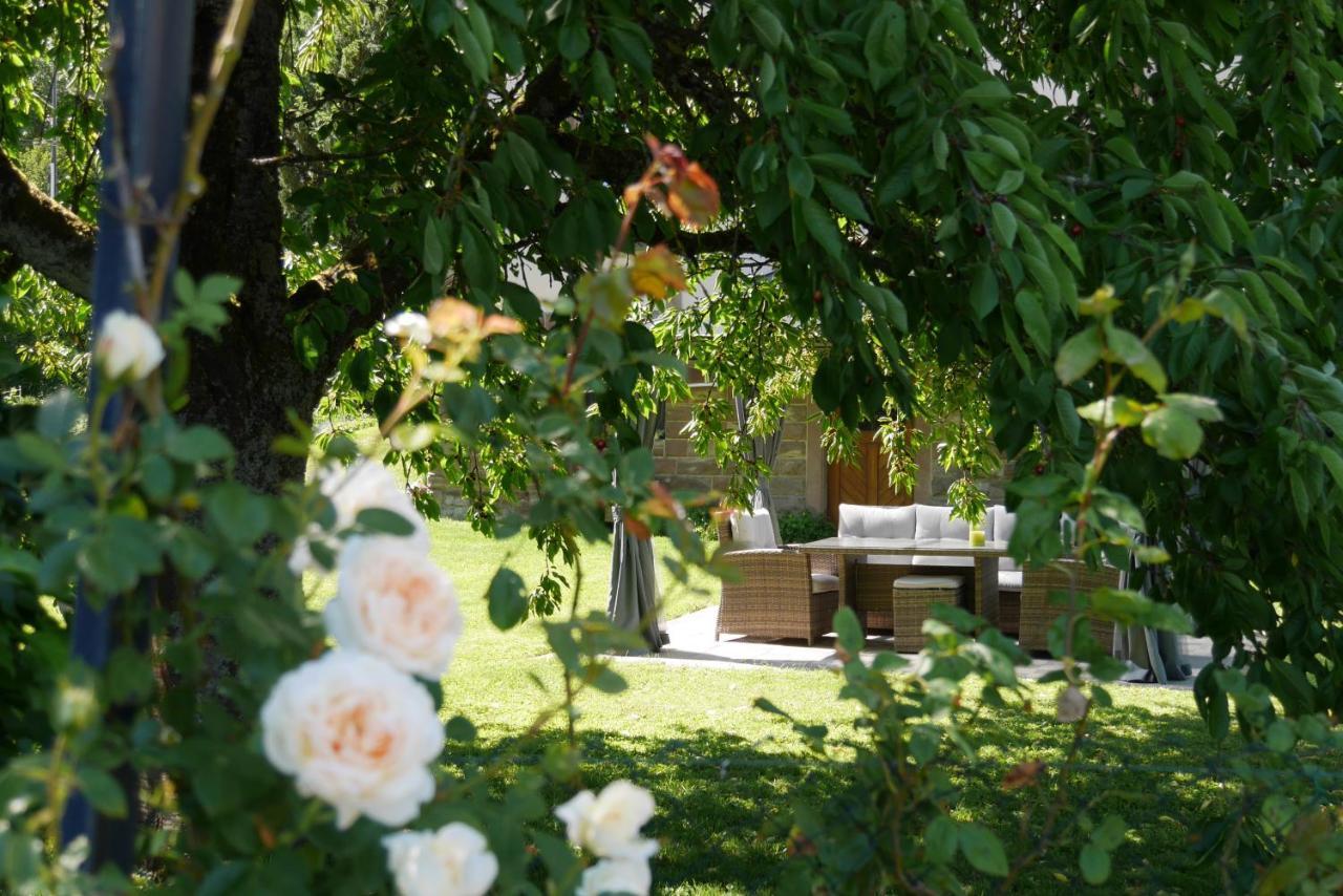 Appartement Le Jardin des Roses à Saverne Extérieur photo