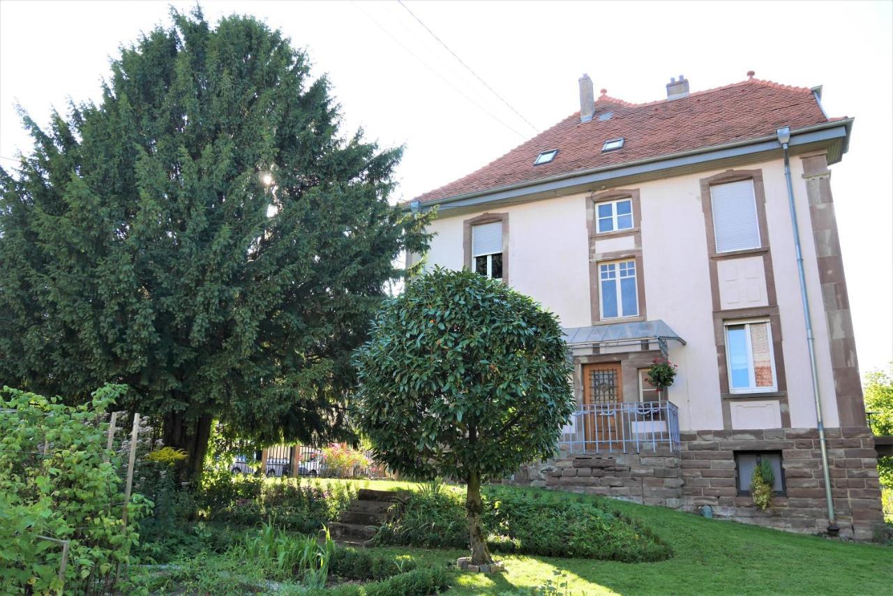 Appartement Le Jardin des Roses à Saverne Extérieur photo