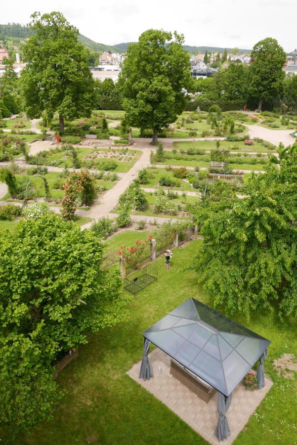 Appartement Le Jardin des Roses à Saverne Extérieur photo