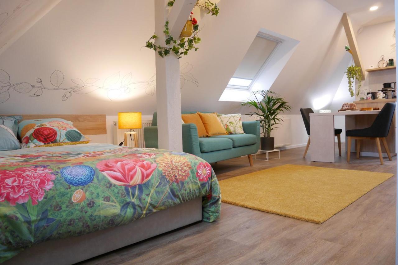 Appartement Le Jardin des Roses à Saverne Extérieur photo