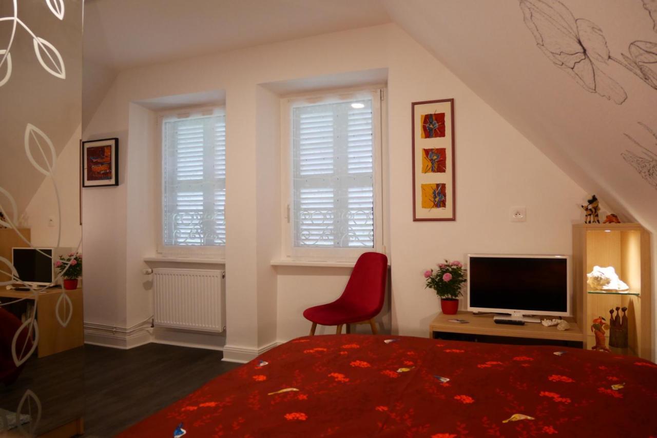 Appartement Le Jardin des Roses à Saverne Extérieur photo