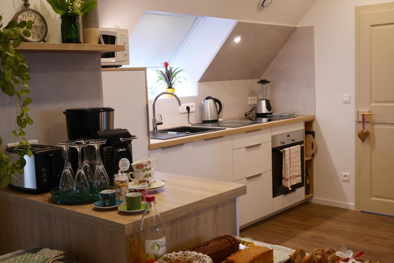 Appartement Le Jardin des Roses à Saverne Extérieur photo